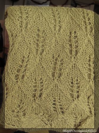 img_3534-border.jpg, déc. 2009