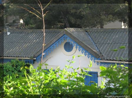 img_5037-border.jpg, avr. 2010
