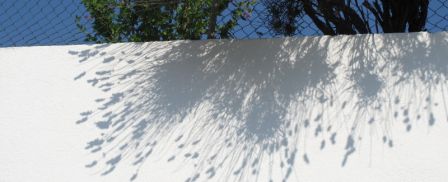 img_5933B.jpg