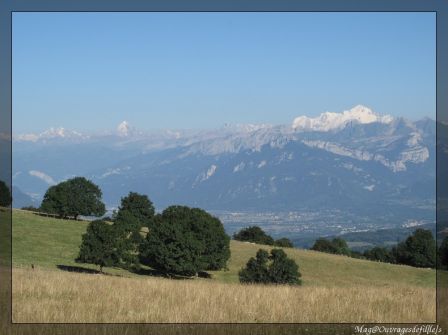 img_6726-border.jpg