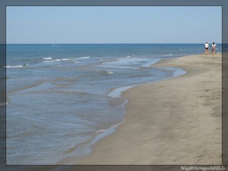 img_7101-border.jpg