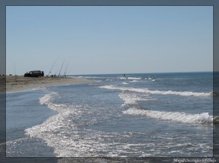 img_7103-border.jpg