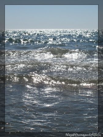 img_7122-border.jpg