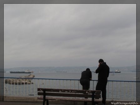 img_0472-border.jpg