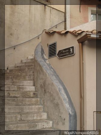 img_0500-border.jpg