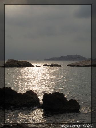 img_0524-border.jpg