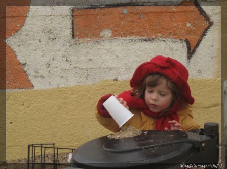 img_0681-border.jpg