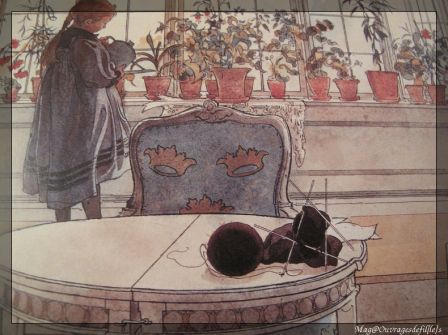 img_0614-border.jpg