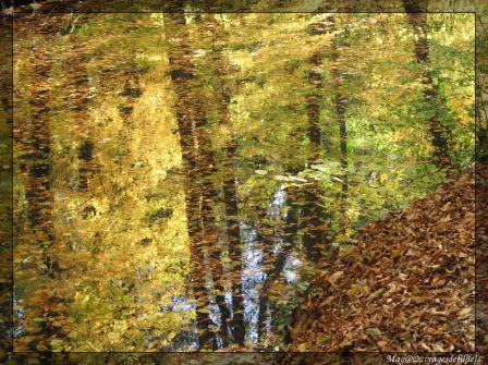img_0548-border.jpg