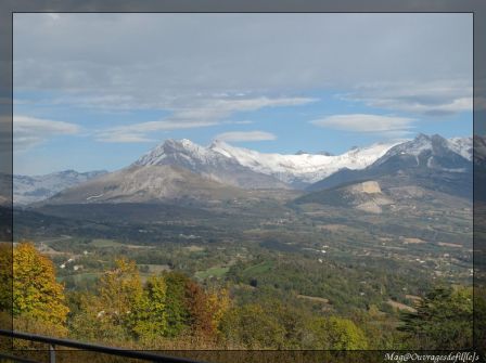 img_0557-border.jpg