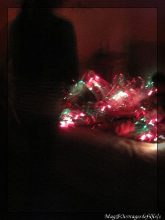 img_0984-border.jpg