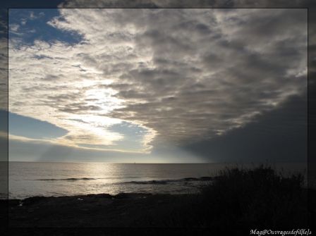 img_1176-border.jpg