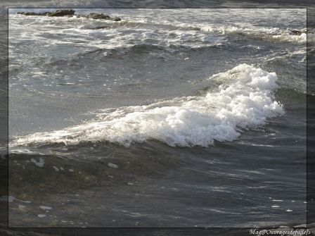 img_1211-border.jpg