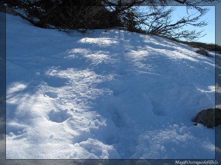 img_1335-border.jpg