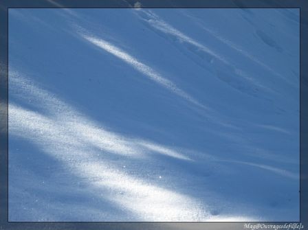 img_1357-border.jpg