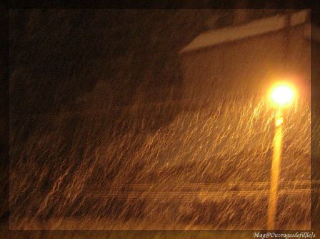 img_1382-border.jpg