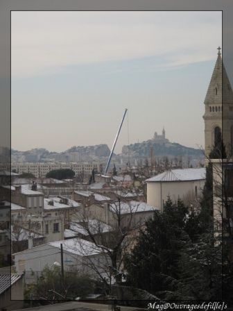 img_1385-border.jpg