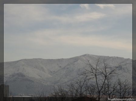 img_1386-border.jpg