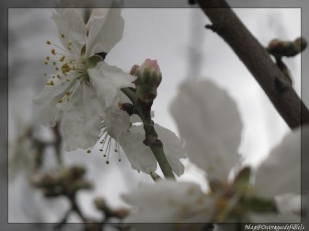 img_1584-border.jpg
