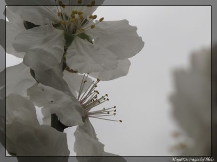 img_1589-border.jpg