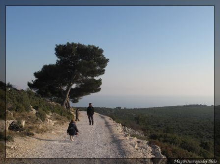 img_1473-border.jpg