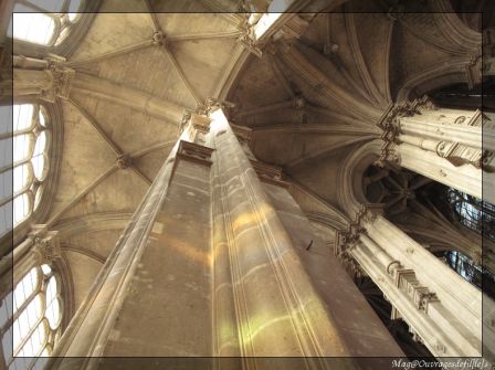 img_1764-border.jpg