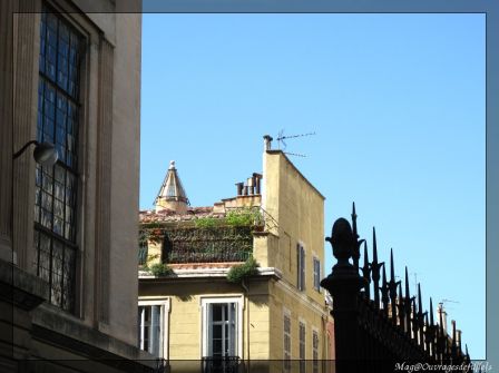img_2204-border.jpg