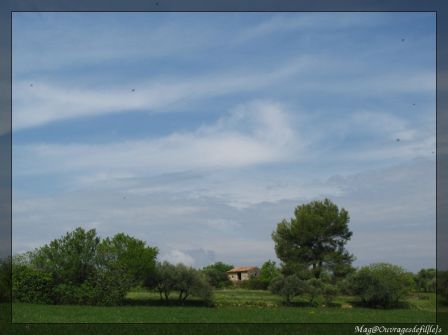 img_2639-border.jpg