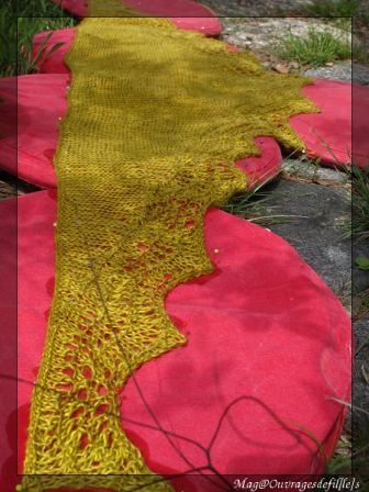 img_2642-border.jpg