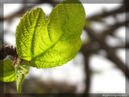 img_2144-border.jpg