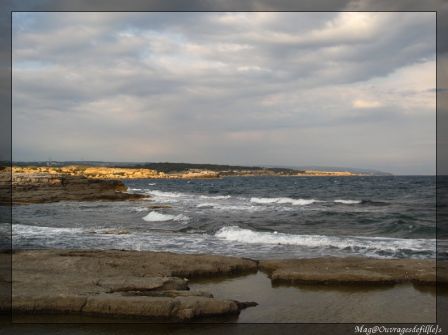 img_2768-border.jpg