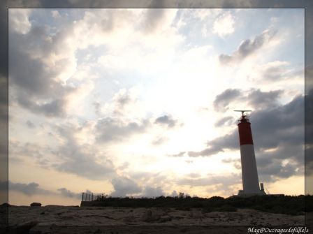 img_2779-border.jpg
