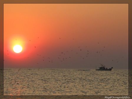 img_2677-border.jpg