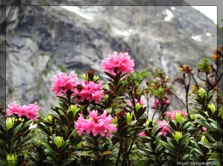 img_3199-border.jpg