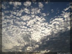img_3388-border.jpg