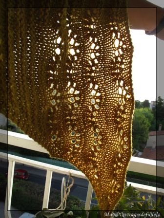 img_3308-border.jpg