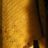 img_3317-border.jpg