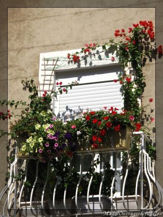 img_3511-border.jpg