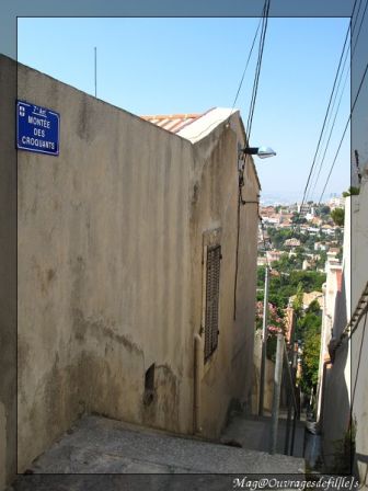 img_3513-border.jpg