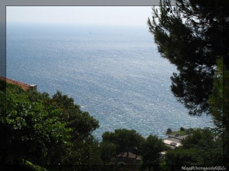 img_3514-border.jpg