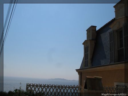 img_3516-border.jpg