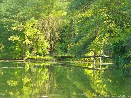 img_3714-border.jpg