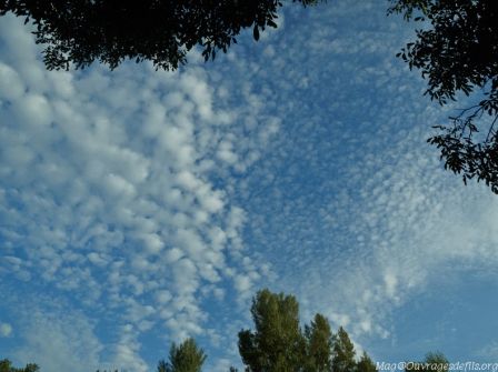 img_3716-border.jpg