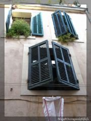 img_3542-border.jpg