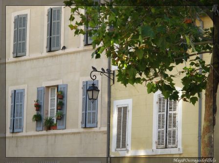 img_3552-border.jpg