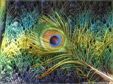 img_5084-border.jpg