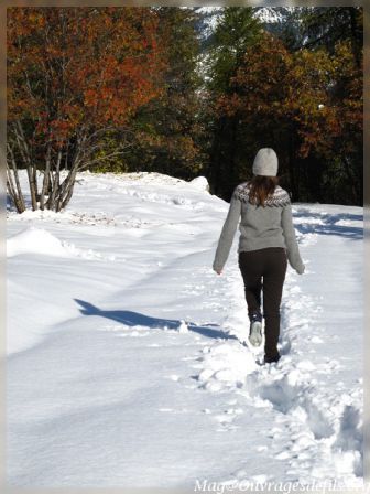 img_5223-border.jpg