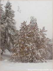 img_5142-border.jpg