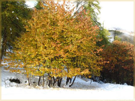 img_5214-border.jpg
