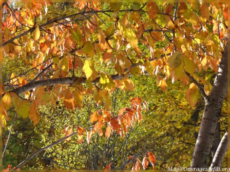 img_5289-border.jpg